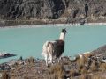 IMG 5792