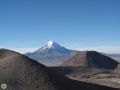 IMG 6018